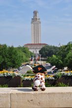 Load image into Gallery viewer, 6&quot; Longhorn Plush Animal with Graduation UT Logo Cap