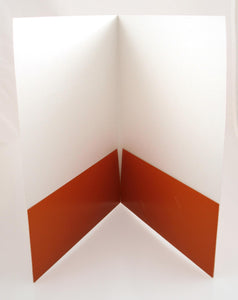 Dell Medical Orange Portfolio Folder-inside